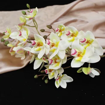 1 Steblo 21 Glavo Pravi Dotik Latex Umetnimi Vešča Orhideja Umetno Cvetje Za Poroko Doma Festival Okras Metulja Orhideja