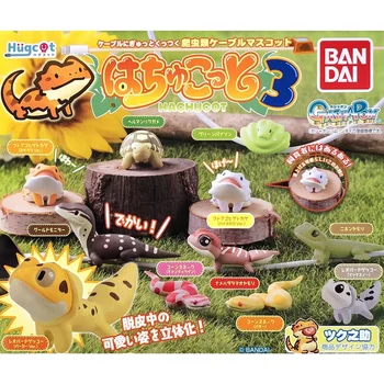 Japonska Original Kapsula Igrače Srčkan Kawaii Figur Anime Hachucot Plazilcev Živali Kameleon Gecko Kuščar Tortoise Gashapon