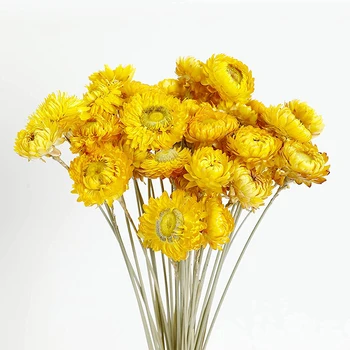 Posušen Cvet 40PCS Daisy Šopek 100% Naravni Chrysanthemum Suh Cvet za Vazo Doma Dekor Stranka DIY Arangement Soba Dekoracijo