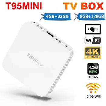 T95MINI Strokovno 2.4 G WiFi Quad Core 4K H. 265 Smart TV Box Set Top Box Android 10.0 8GB 128GB