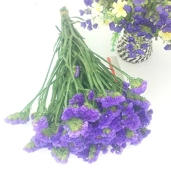 vijolična barva posušene naravne cvetlične šopke naravno sušene Myosotis Sylvatica šopke&Pozabi me ne šopek rož